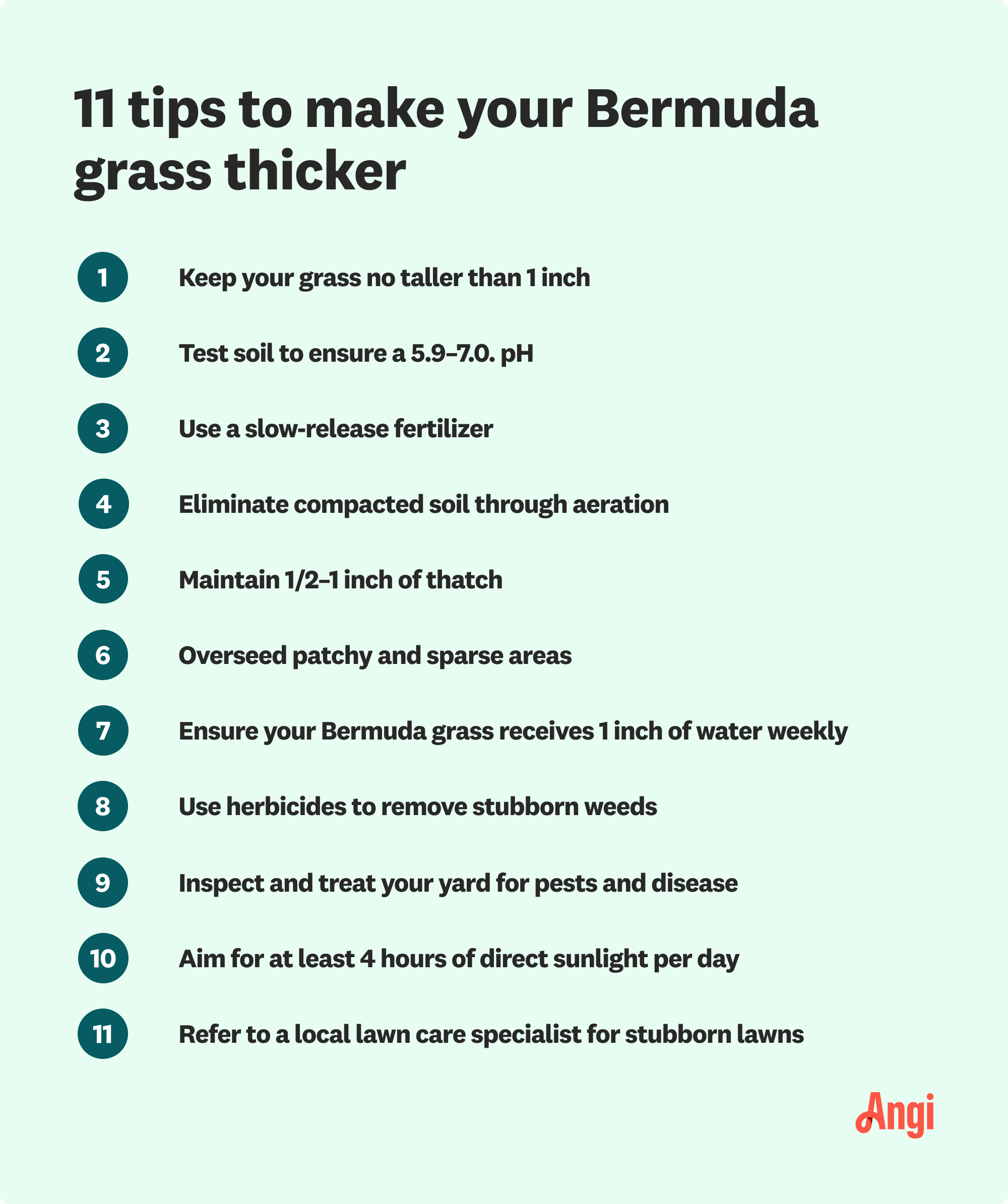 11 tips to make your Bermuda grass thicker, including overseeding patchy and sparse areas