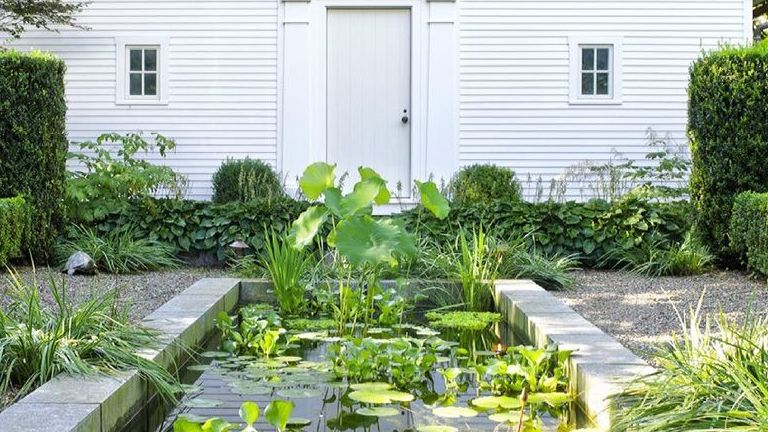 Rectangle garden pond in backyard of home