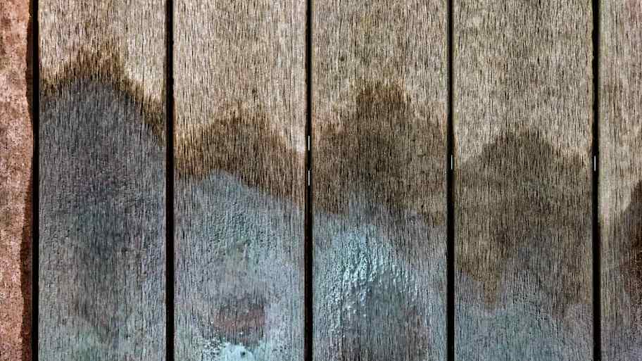 wooden deck with mold