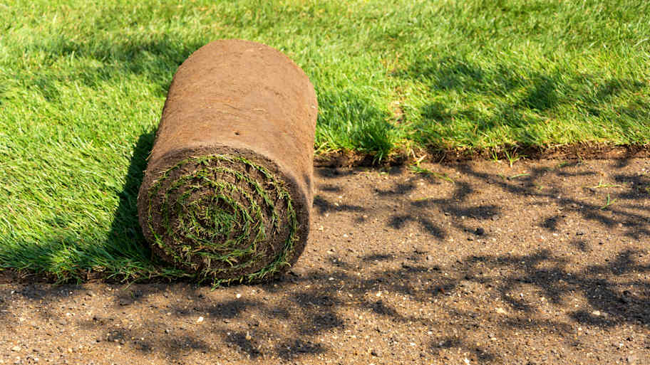Laying rolls of grass sod for landscape design