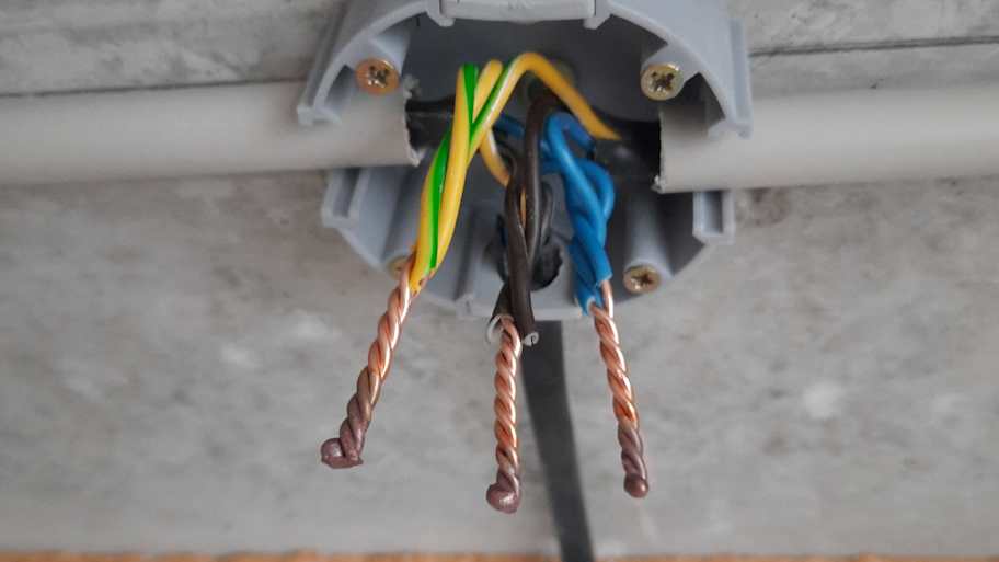 Electrical junction box with wire twists