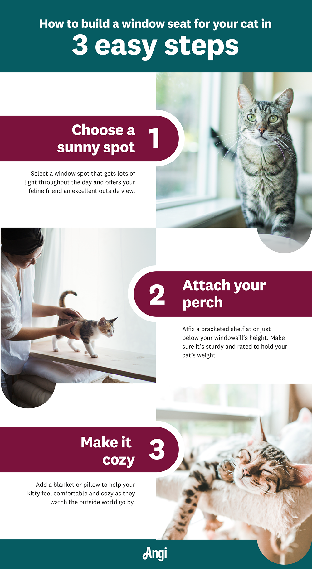 3 steps to build your cat a window seat, including making it cozy