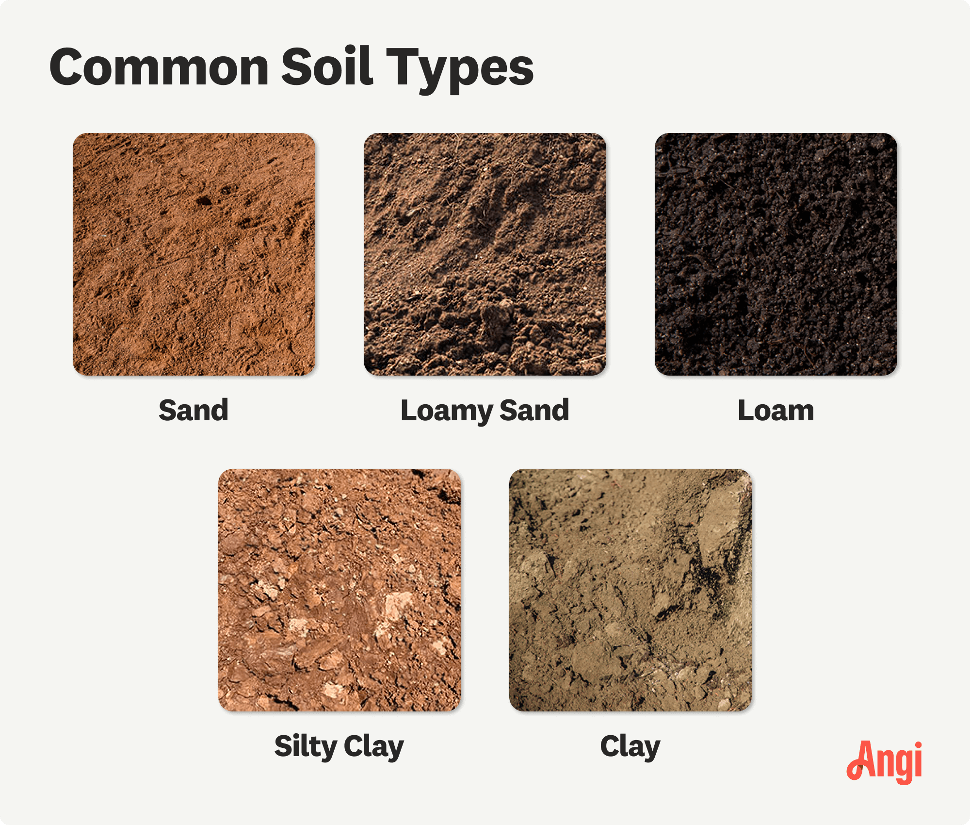 5 soil types compared visually, including sand, clay, and loamy