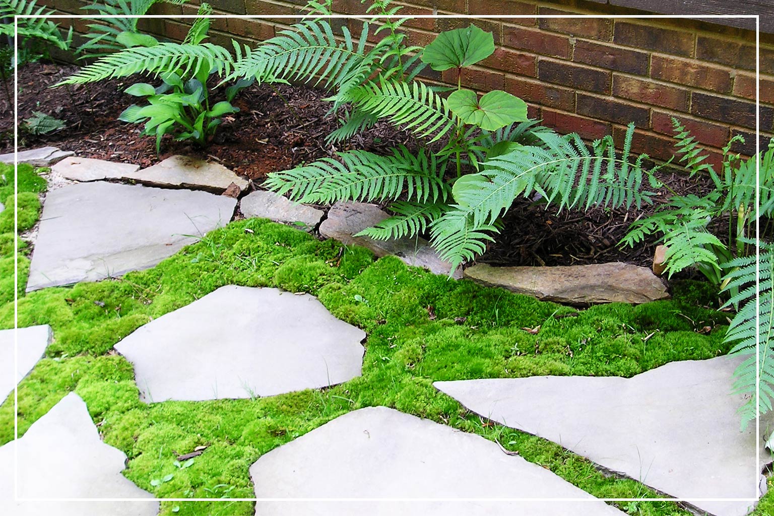 mossy garden path