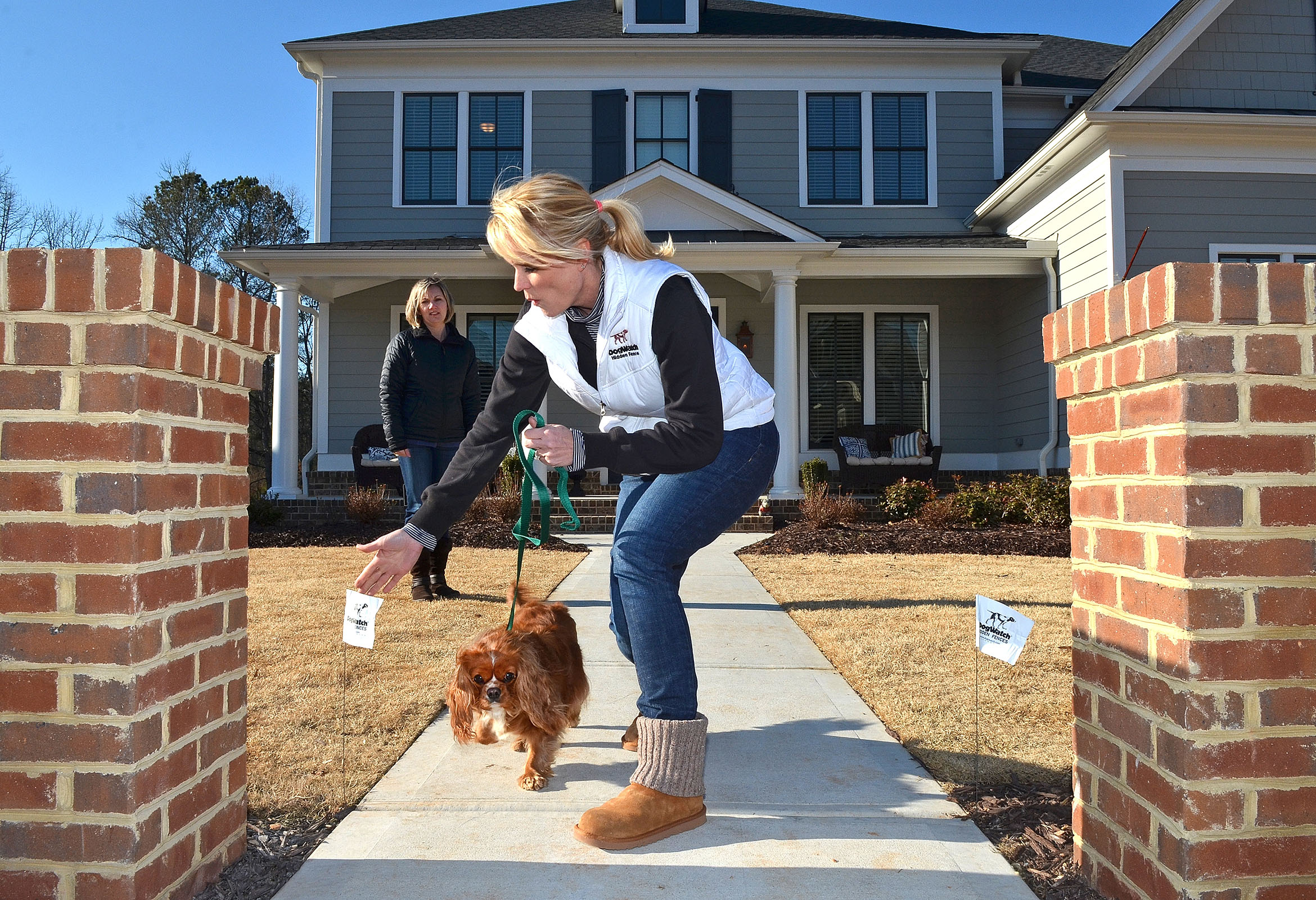 hidden fence dogwatch