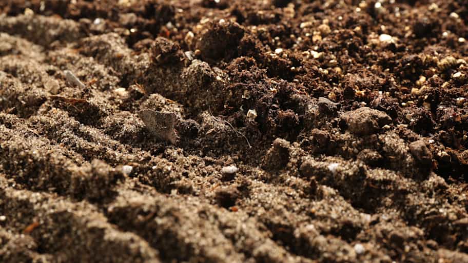close up of soil 
