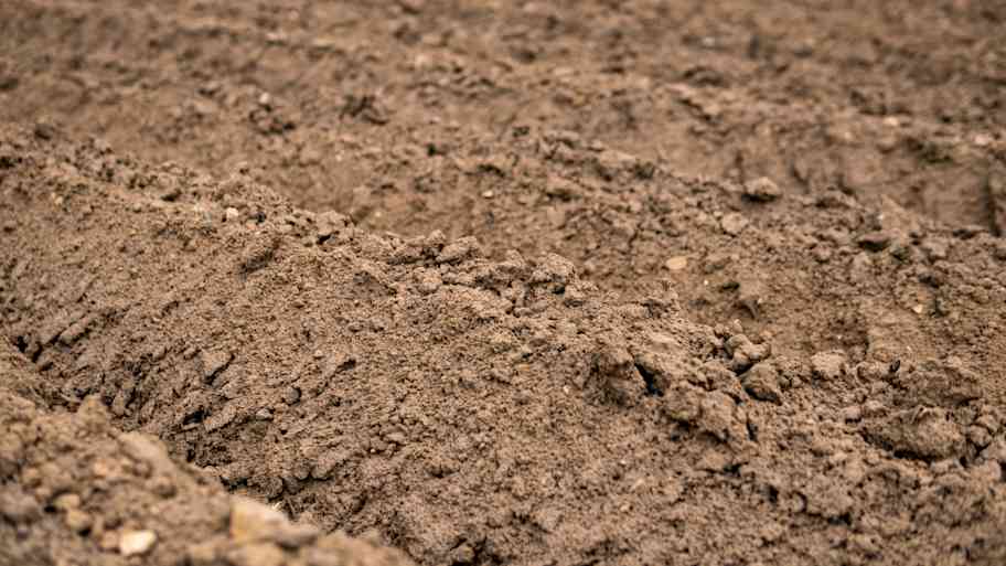 close up of dirt 