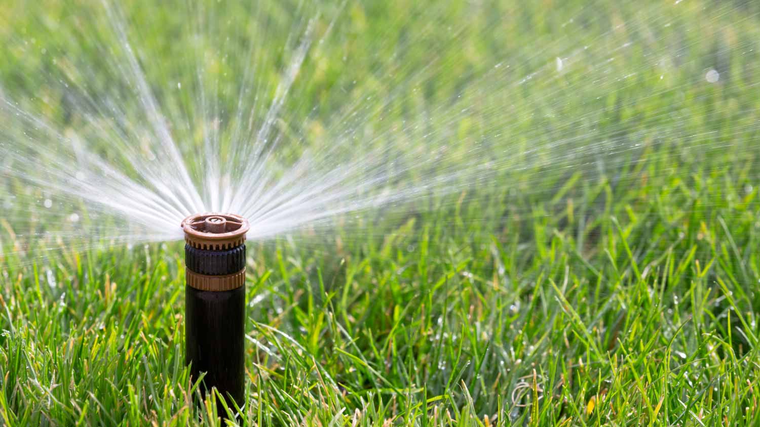 Automatic sprinkler watering grass 