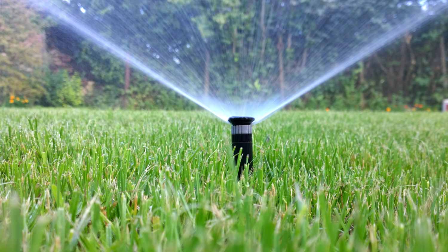 Automatic watering system