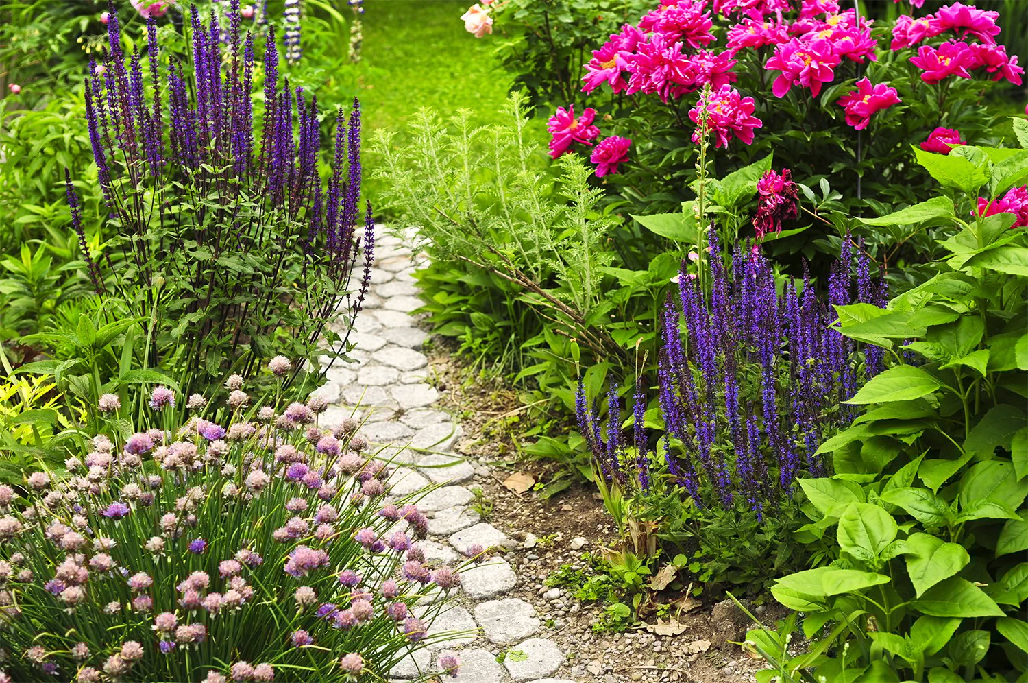 Backyard garden pathway