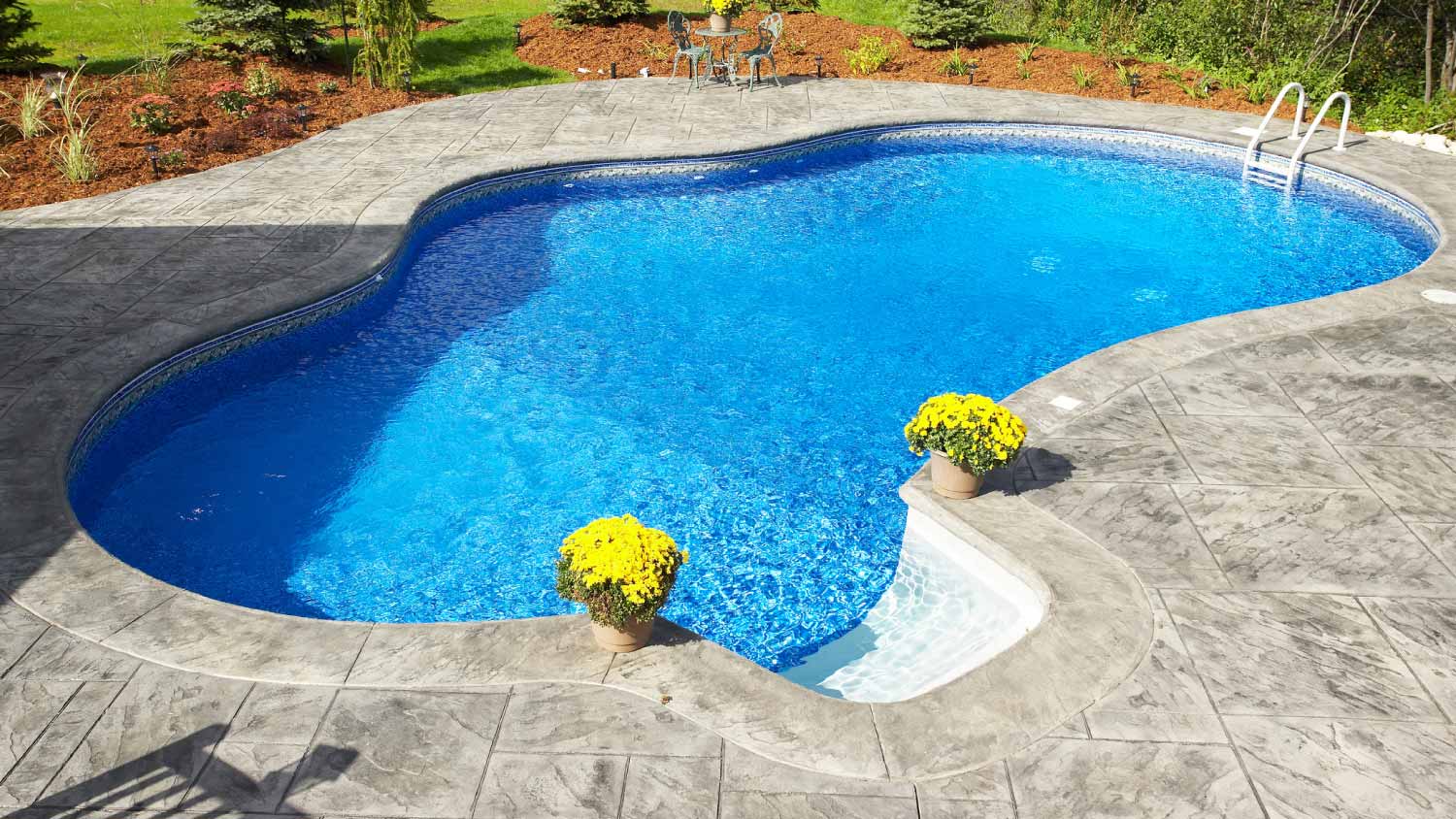 Backyard swimming pool