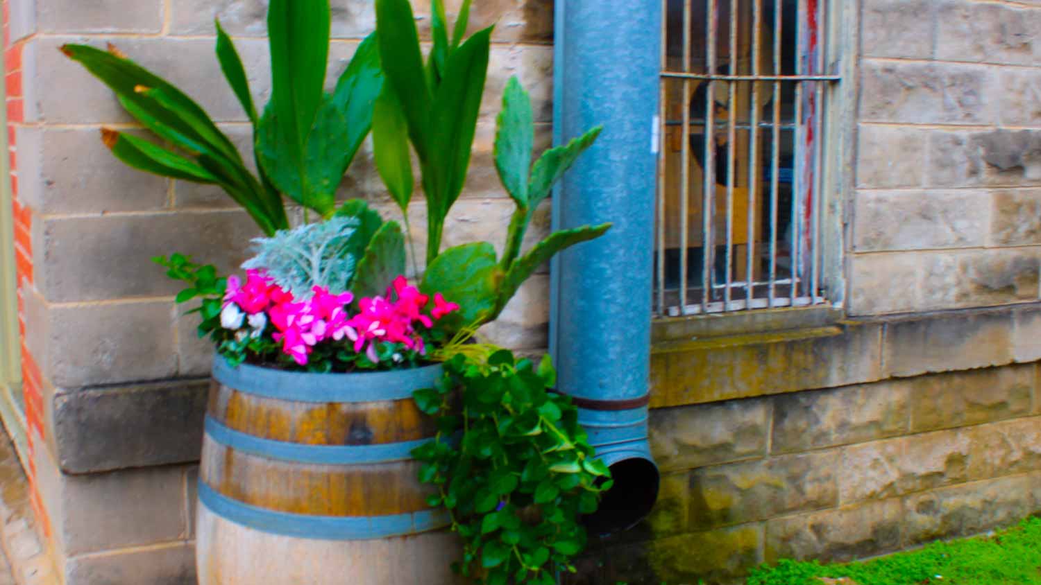 Barrel with tropical flora