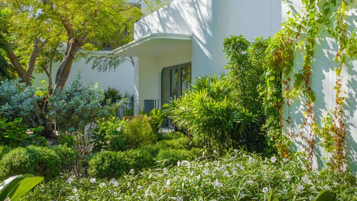 Beautiful backyard garden 