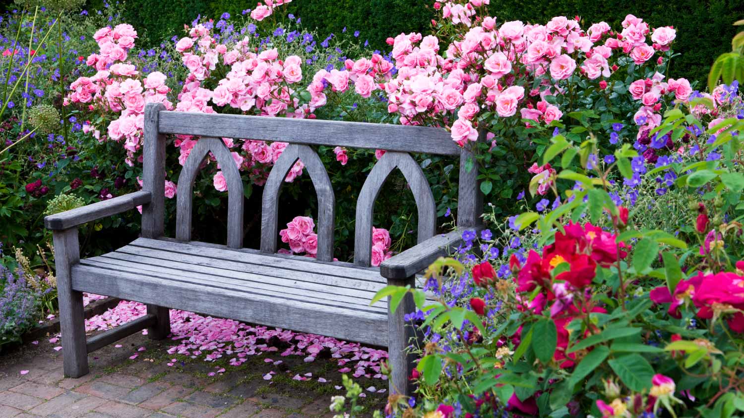 Blossoming flowers in garden