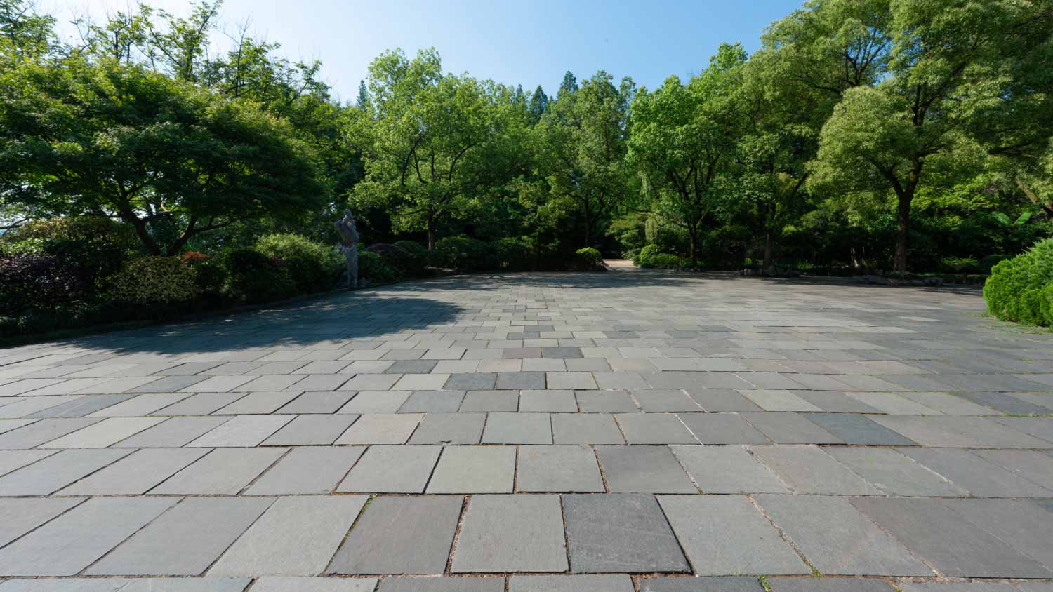 Bluestone patio against tree