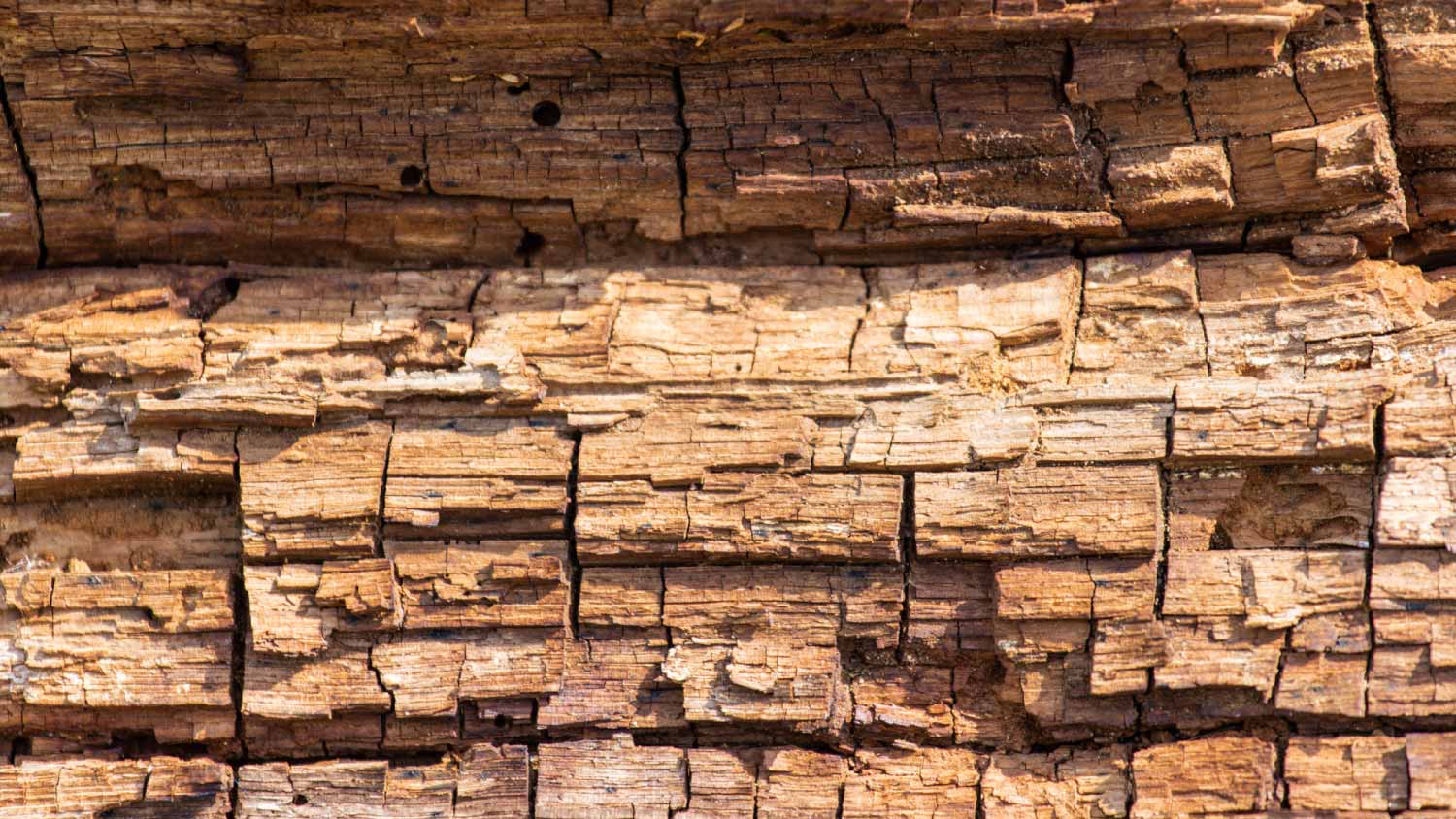 Dry, crumbling brown wood.
