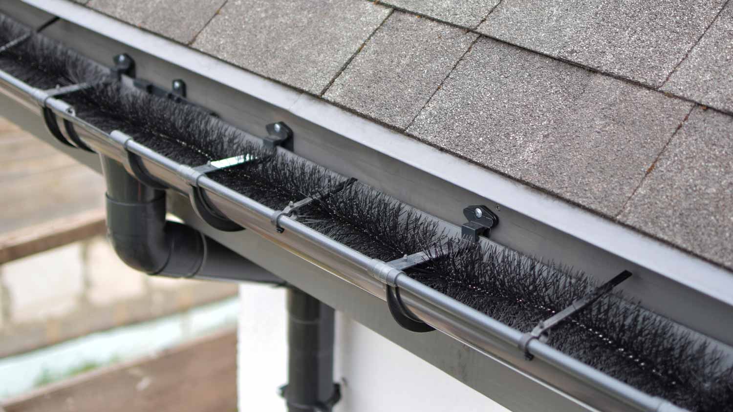 Brush gutter guards