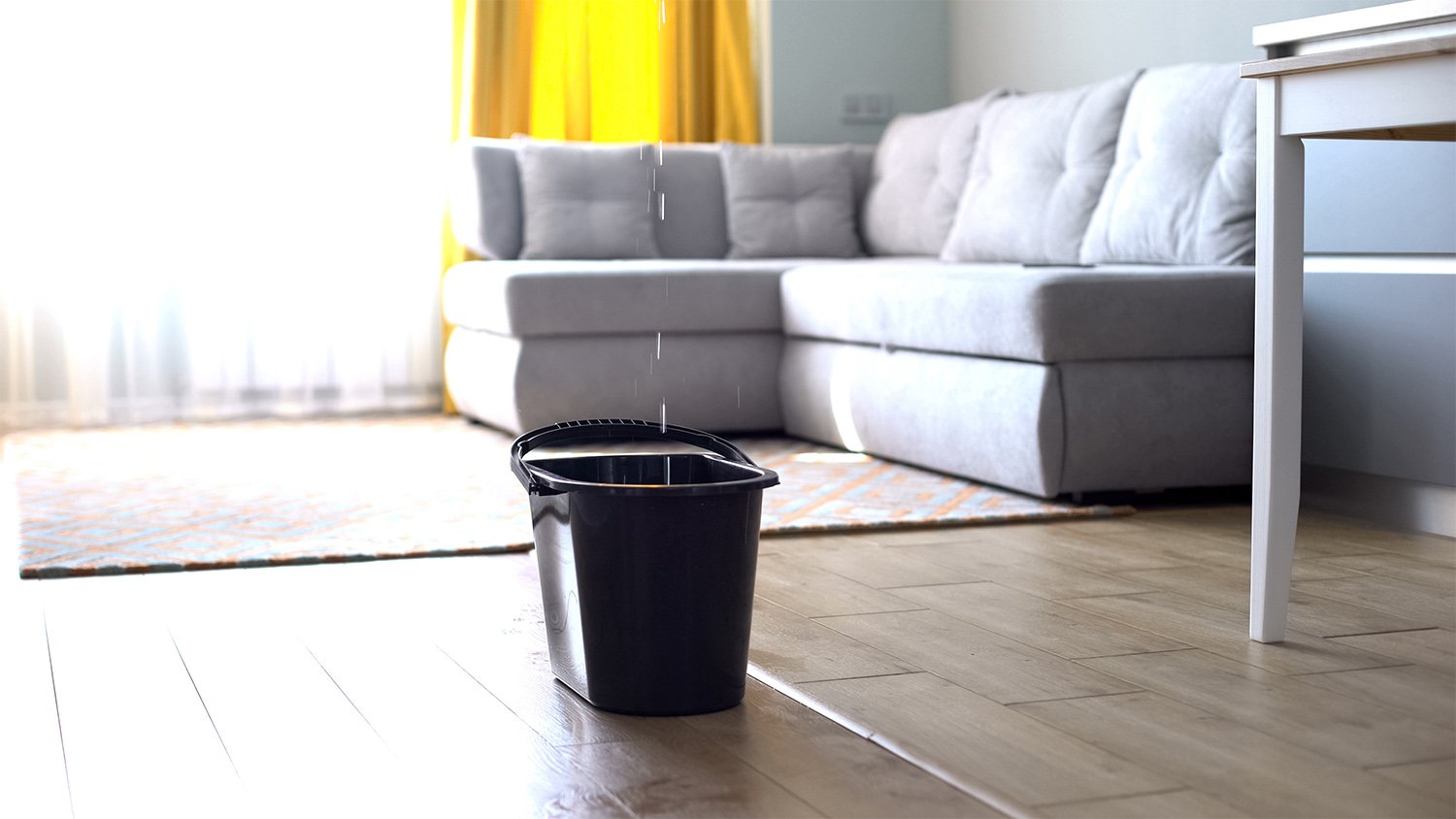 Bucket being used to catch water from leaking roof