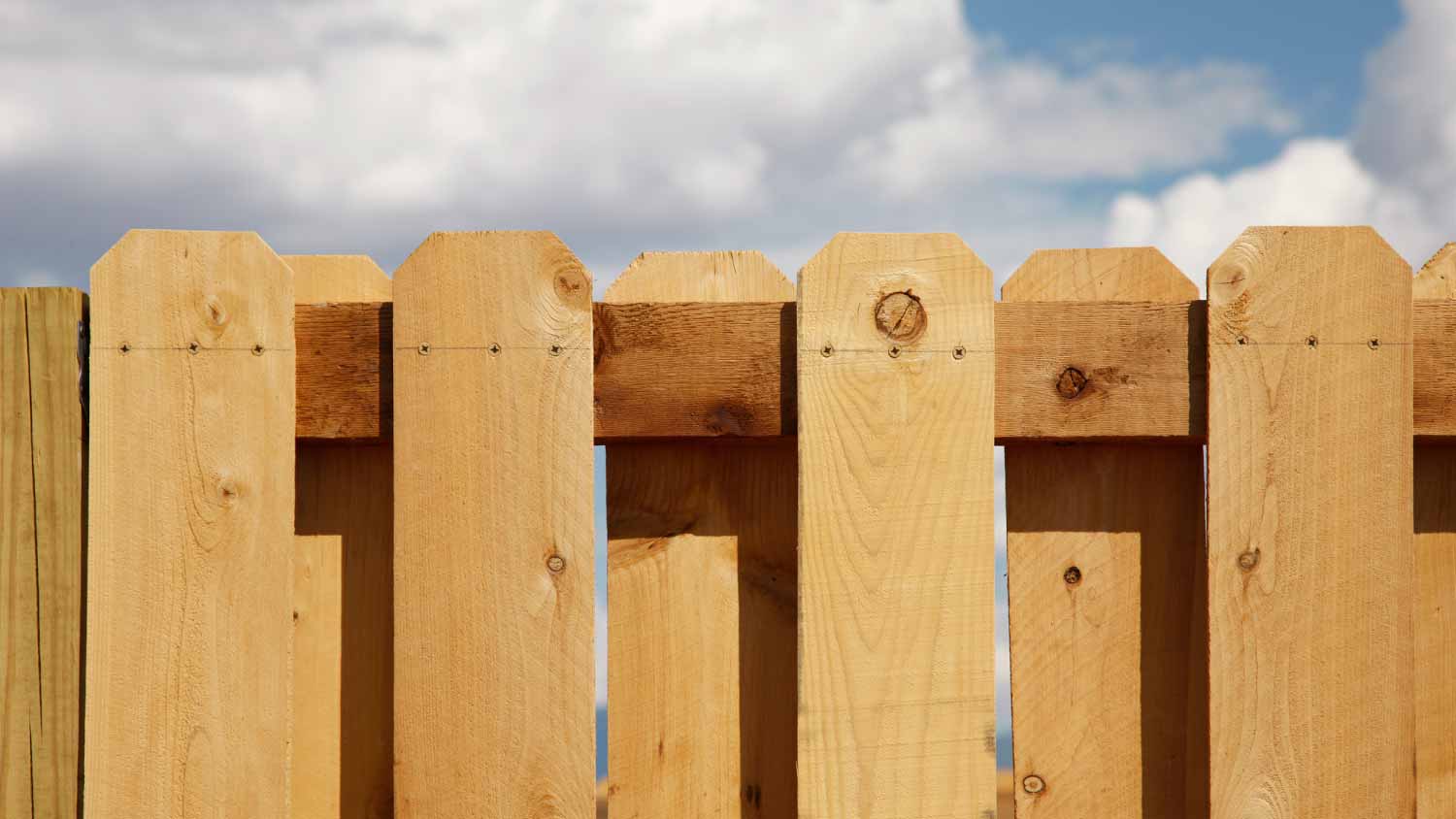 Cedar picket fence