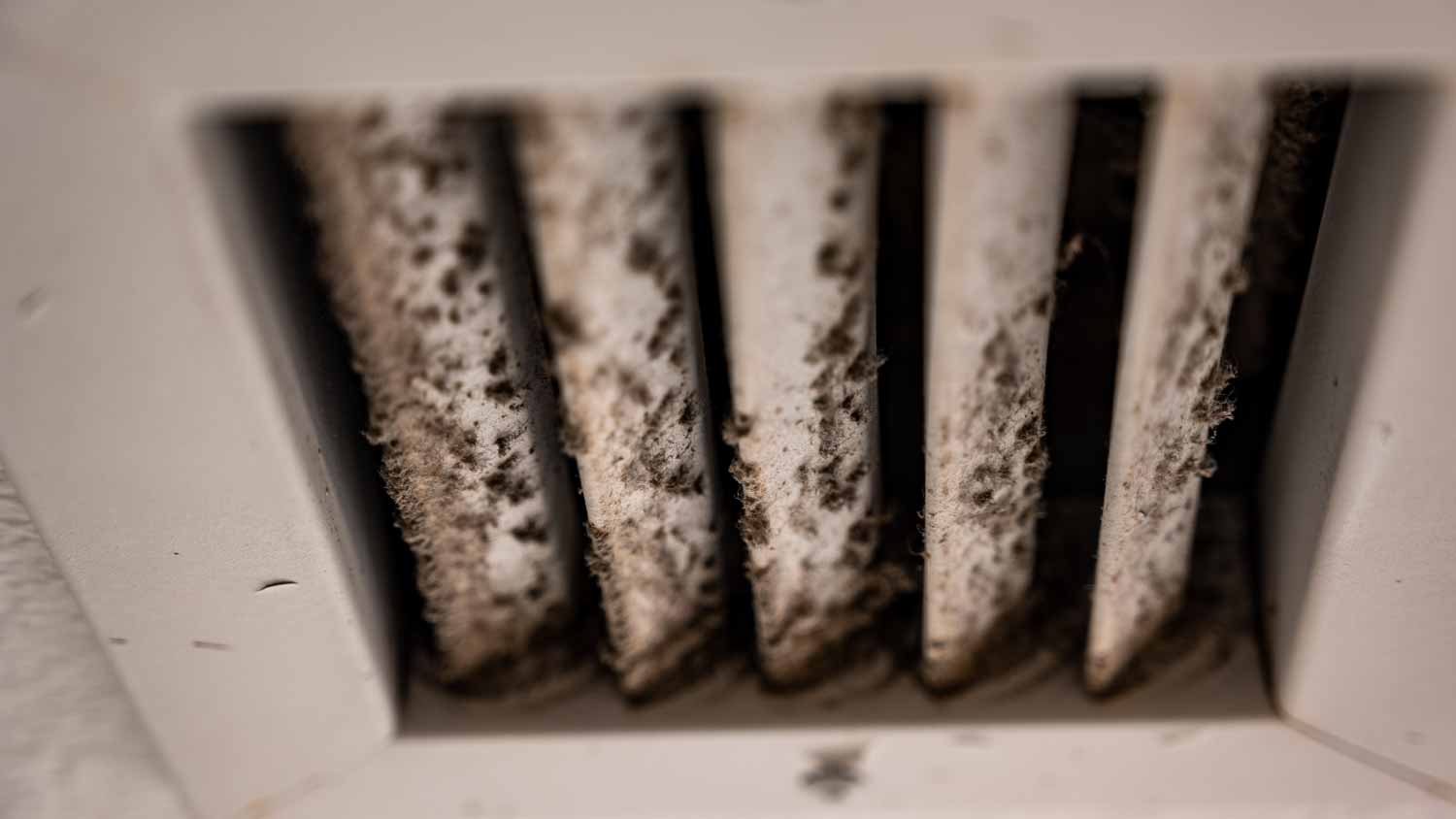 Ceiling air vent with mold 