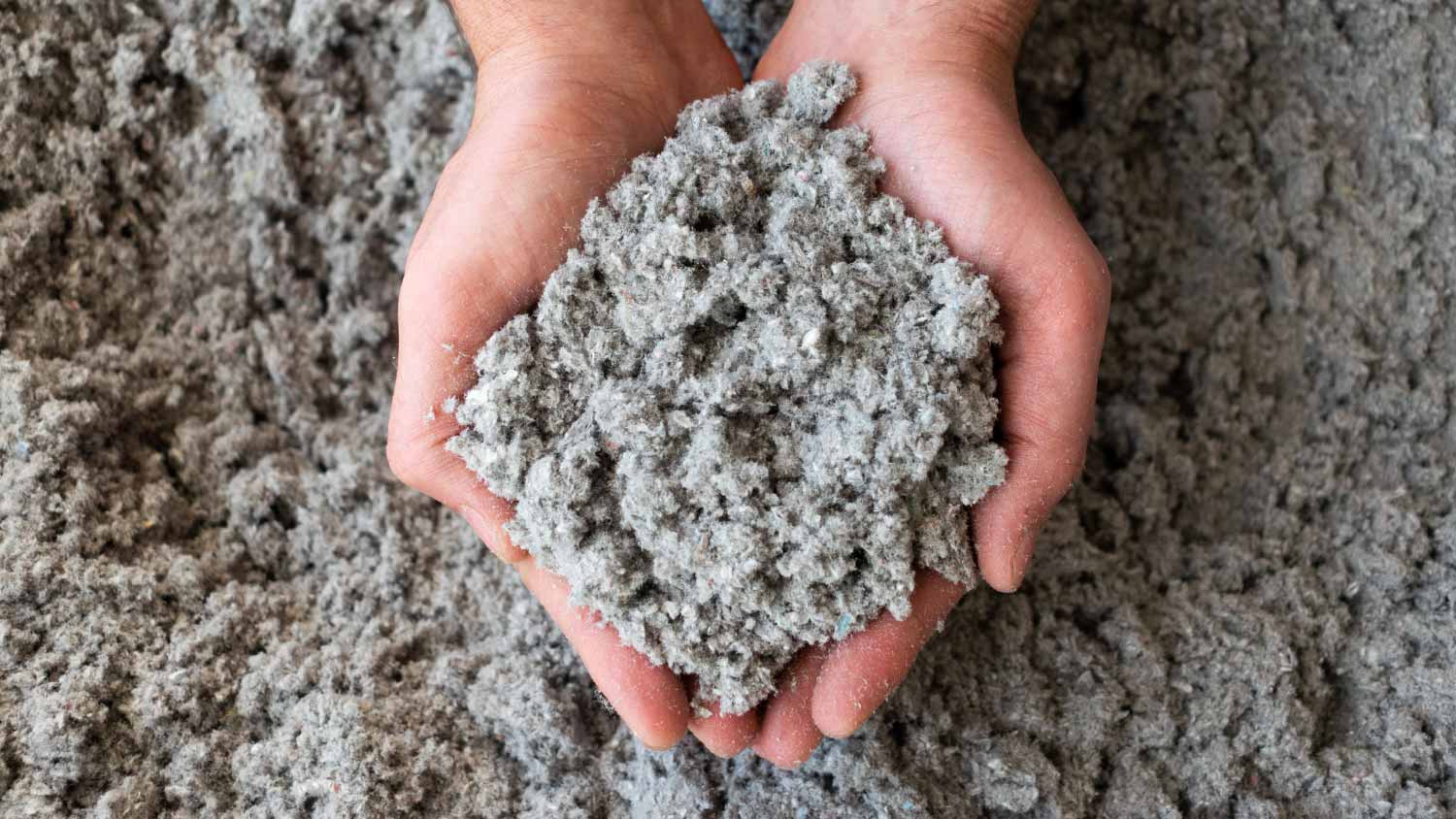 Cellulose insulation filling held in hands