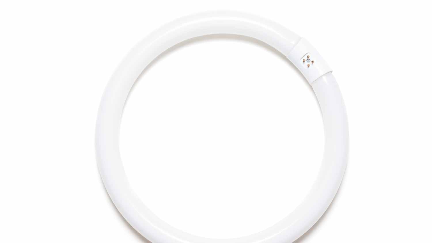 Circular fluorescent light