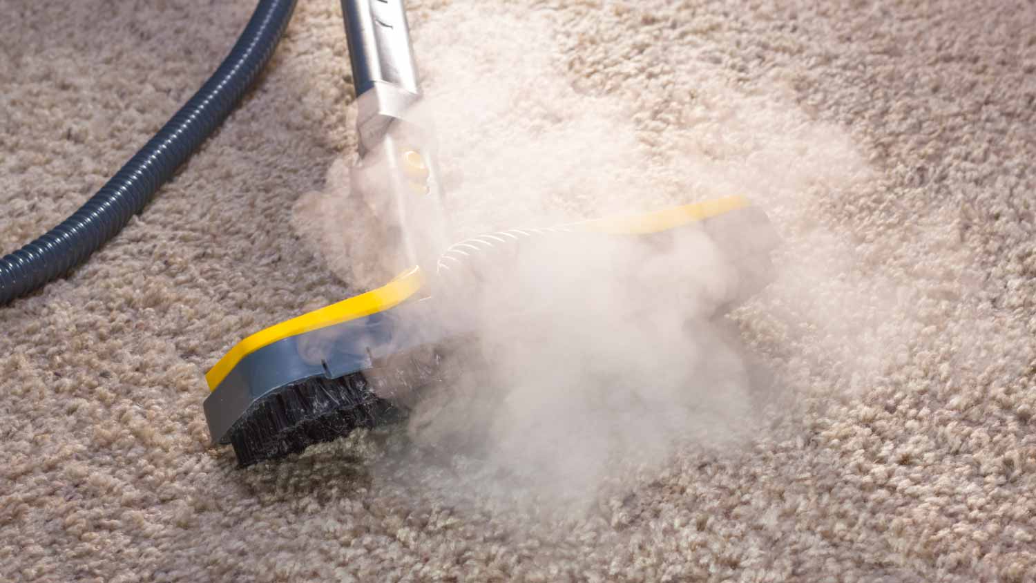 Cleaning carpet with steam cleaner