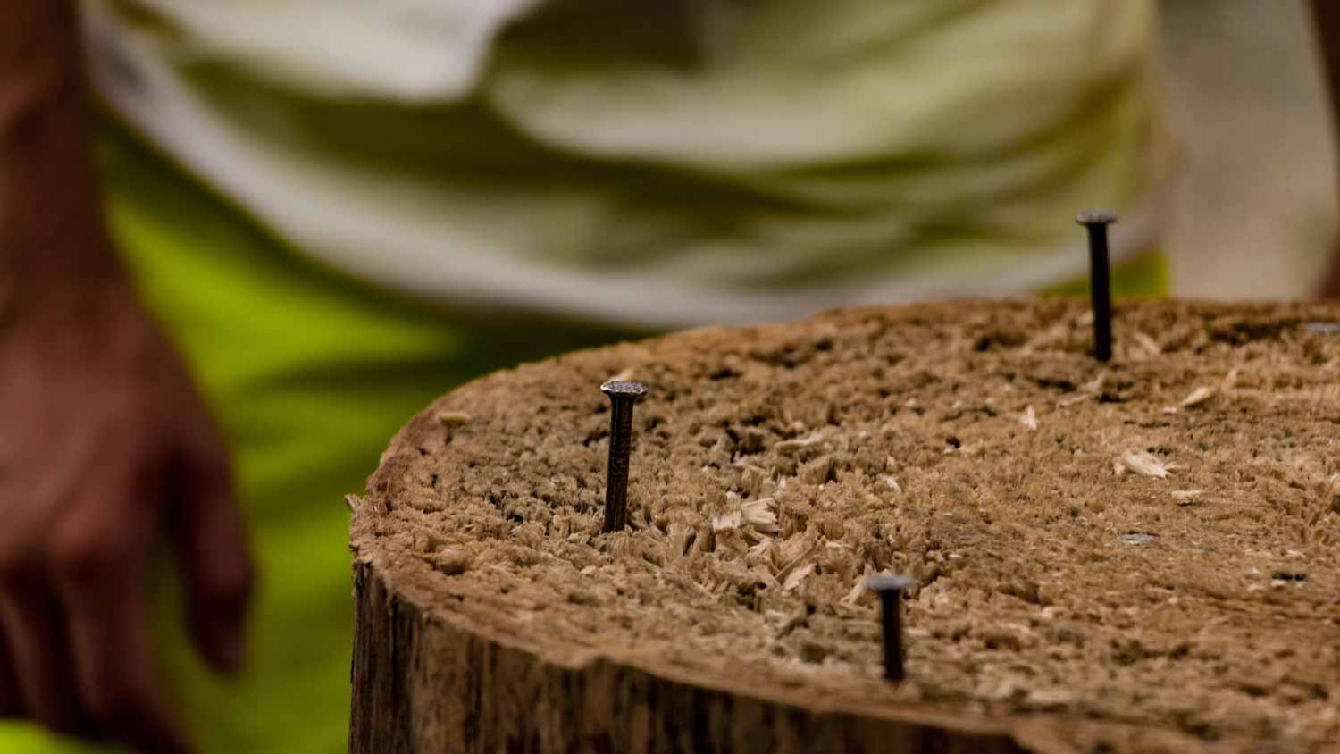 Close-up Of Tree Stump On Field