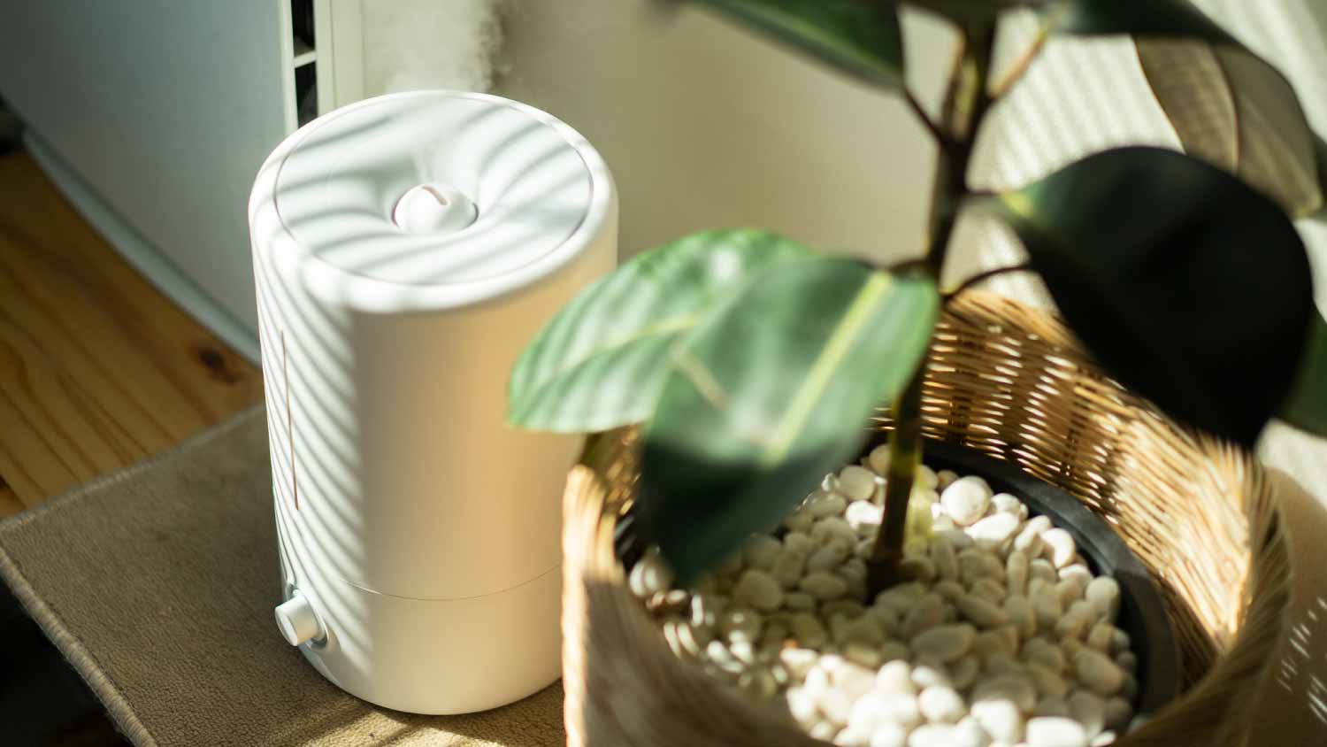 DIY Humidifier Repair vs. Hiring a Pro