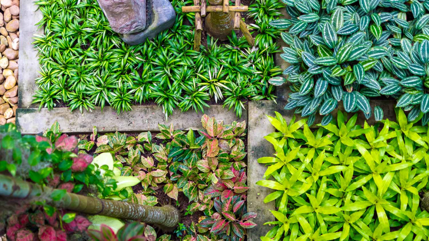 Close up of the garden