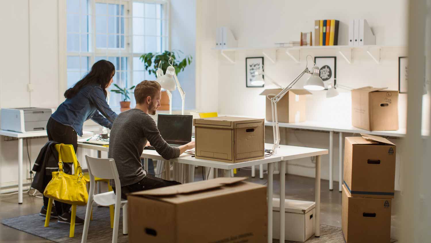 Colleagues working at desk