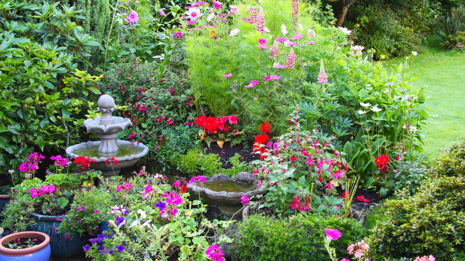 Colorful domestic garden