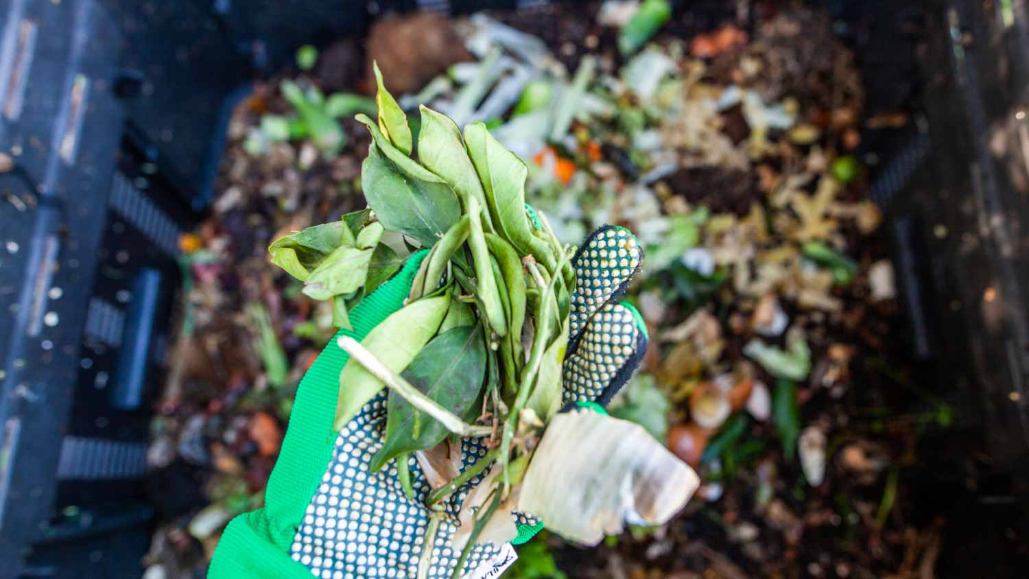 Compost pile with leafs