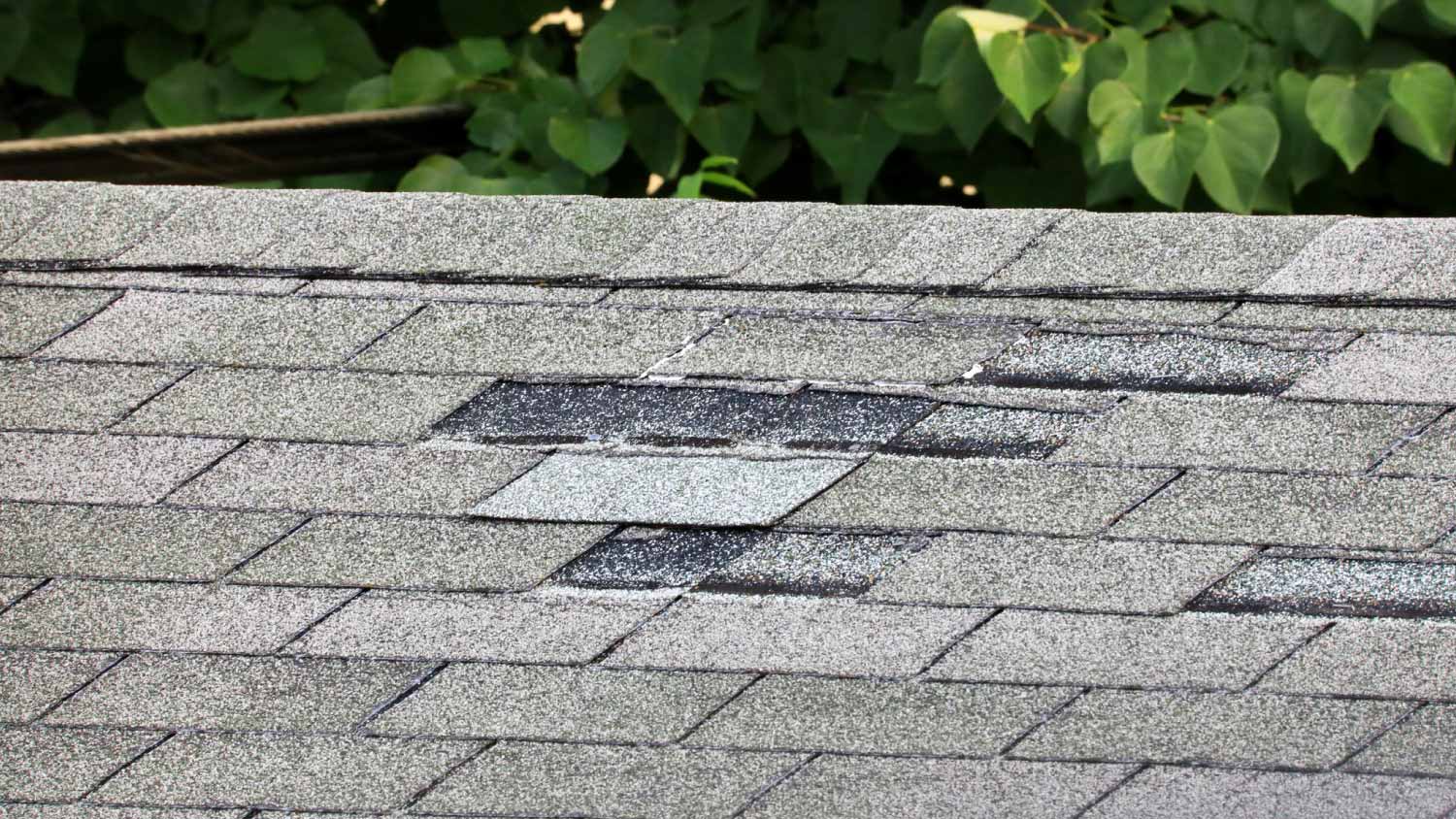 Damaged roof shingles on top of a home