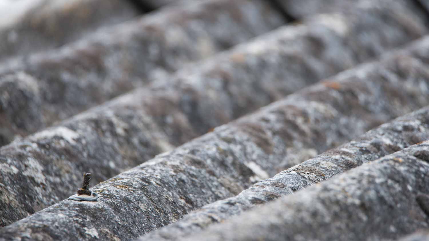 Detail of asbestos roof