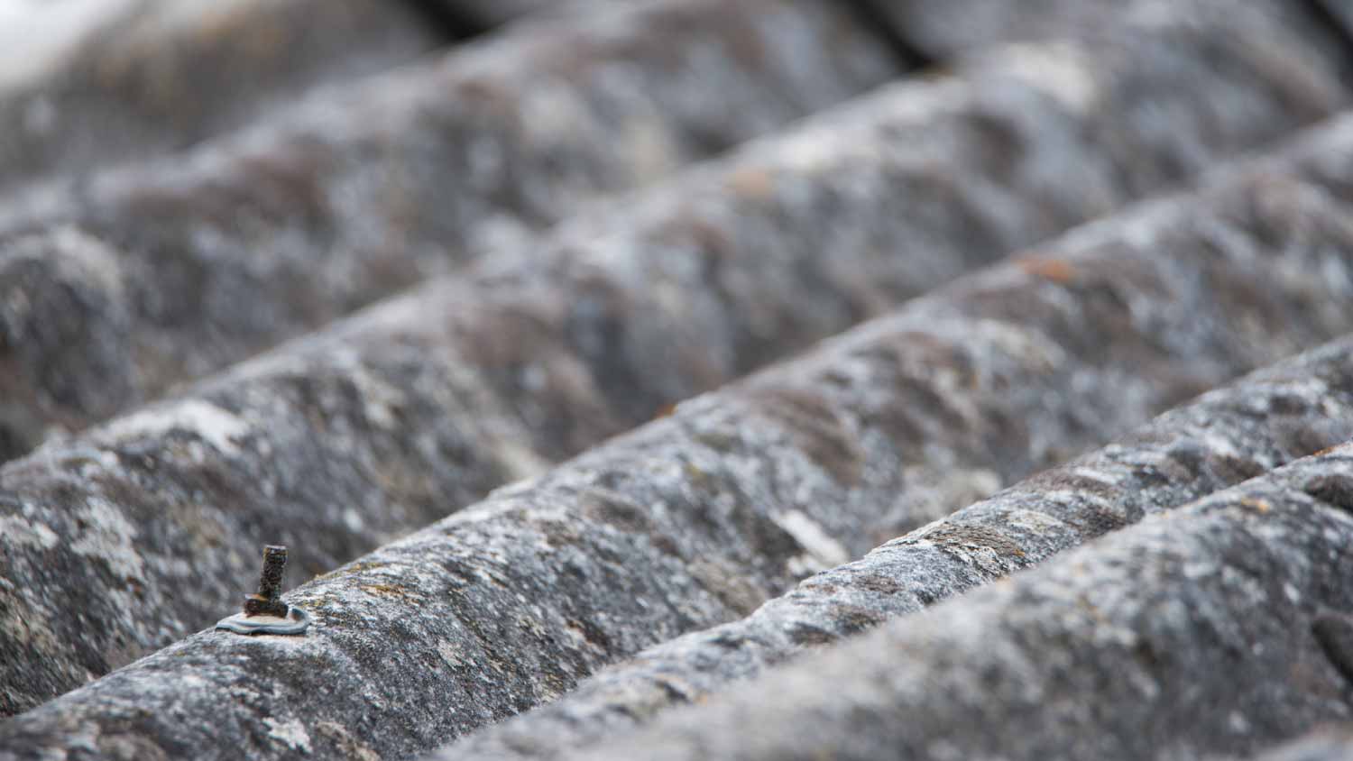 Detail of asbestos roof 