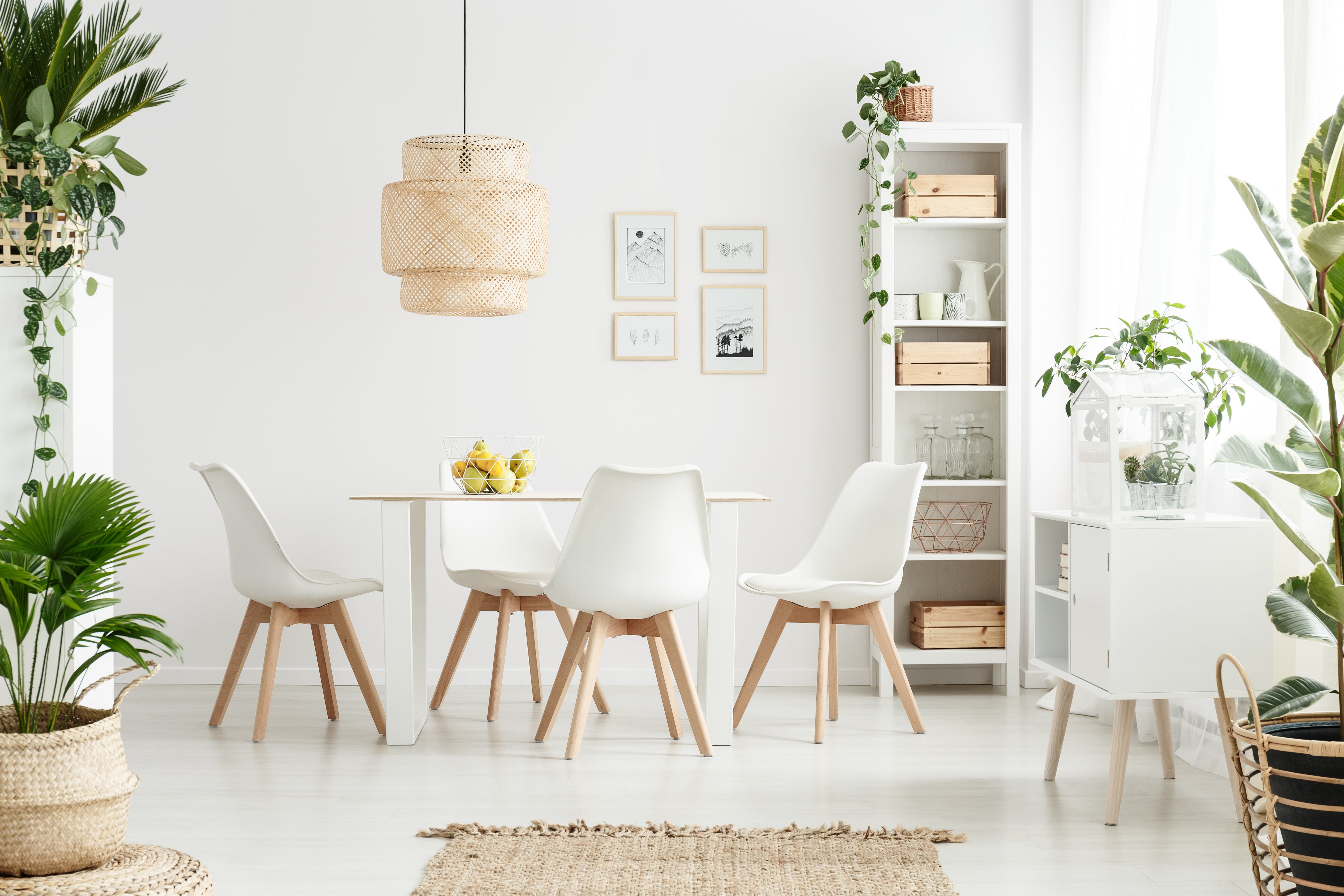 All white dining room with modern white table and chairs, boho chandelier, and lots of plants