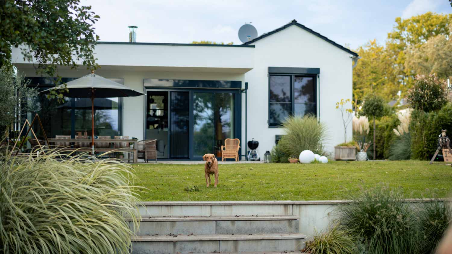 Dog standing in front of house