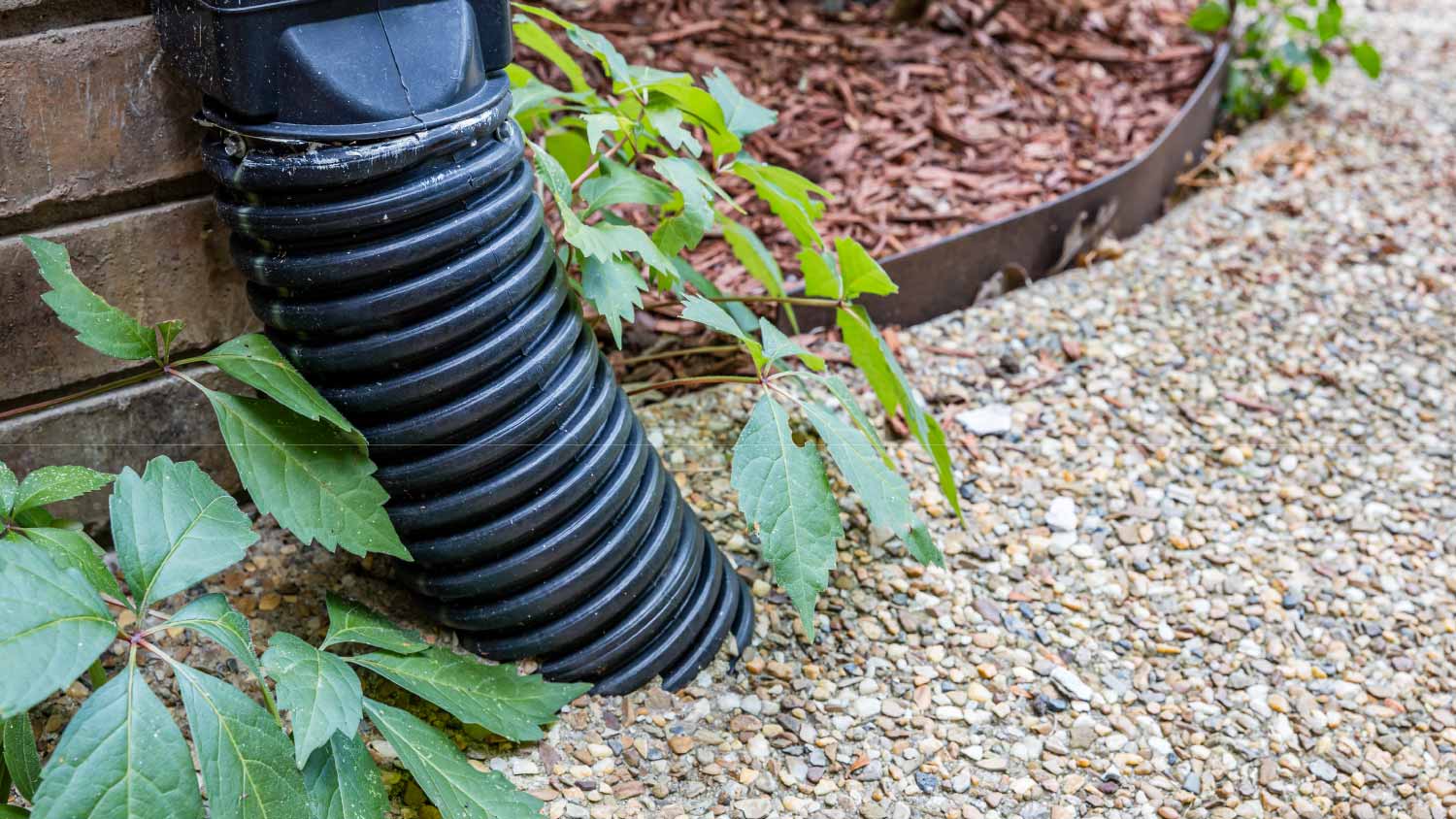 Drain downspout extender going through sidewalk