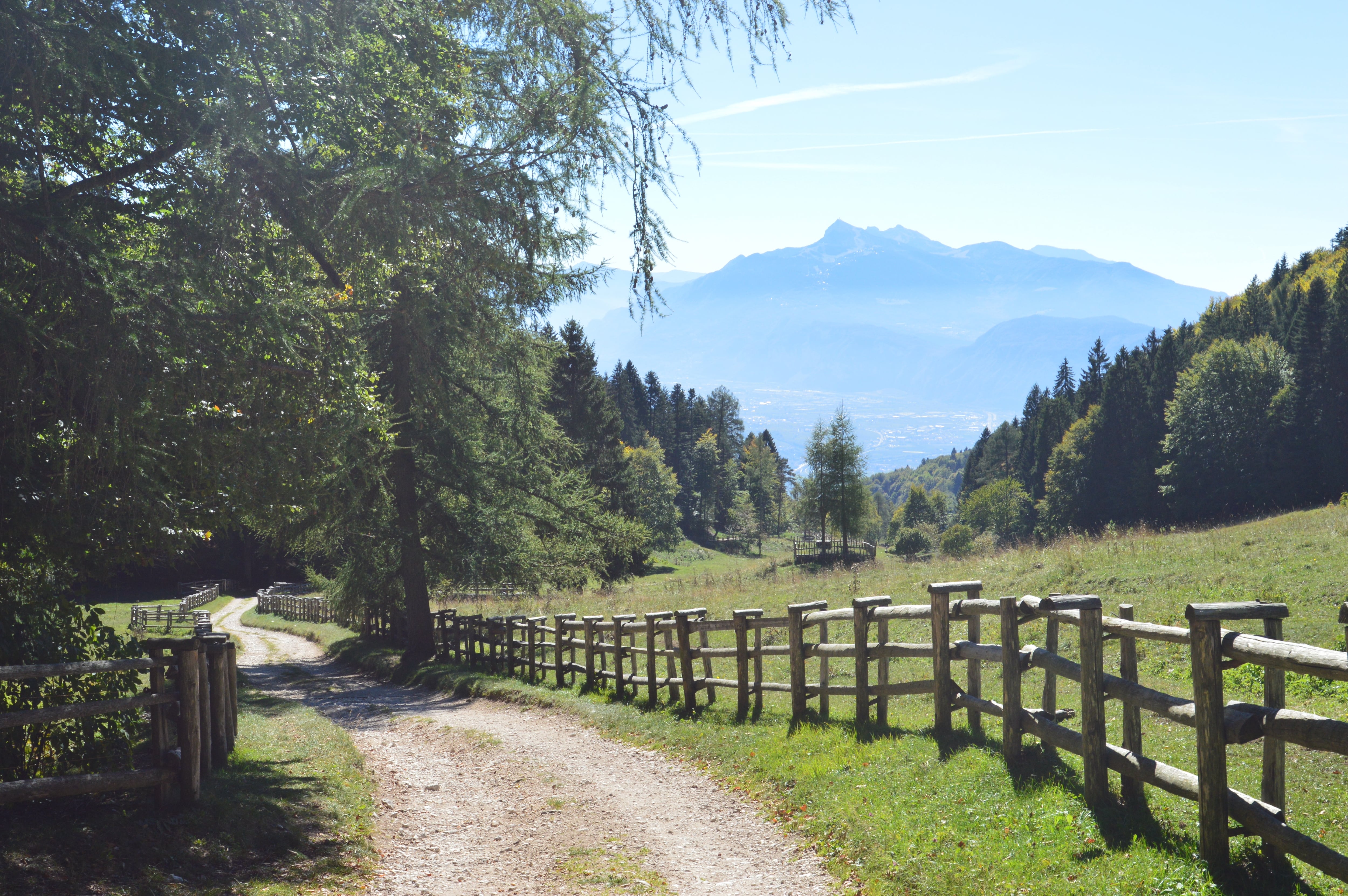 Ribbon style driveway in rural area