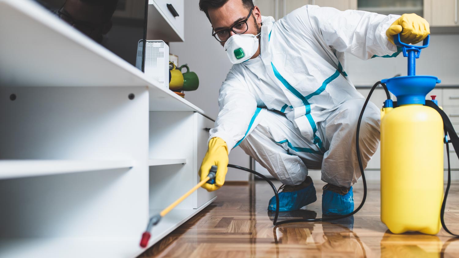 10 Common Types of Roaches To Watch For