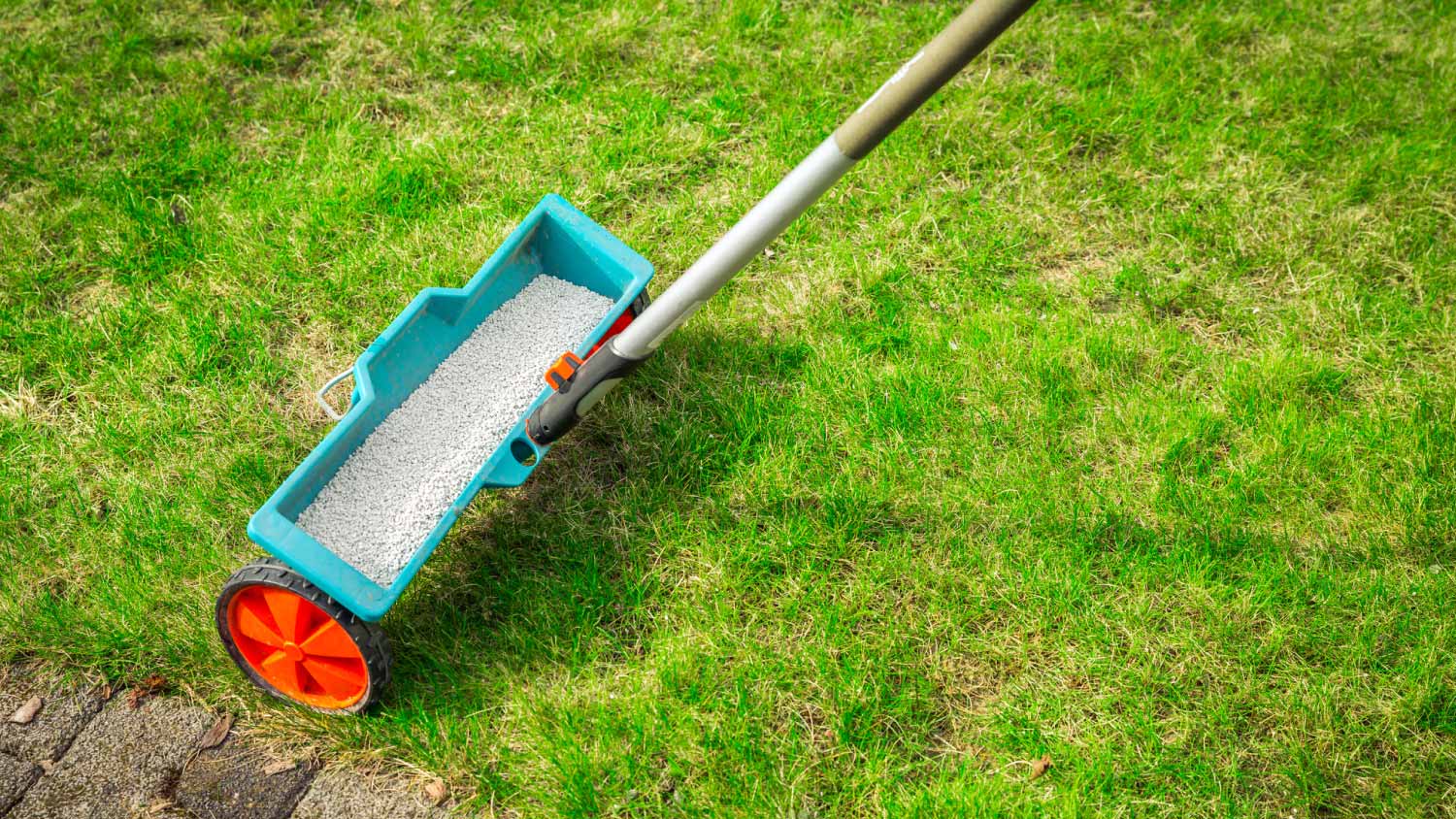 Fertilizer spreader on green lawn