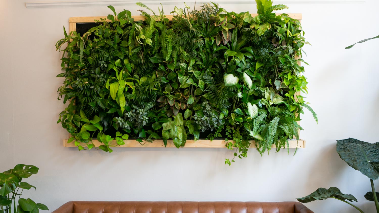 Floating plants on wall