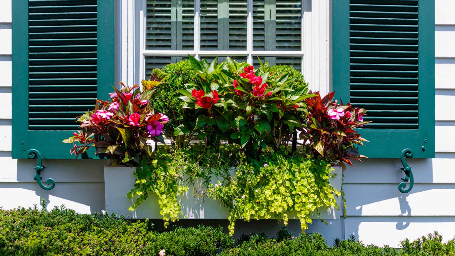 Flowers adorn window box