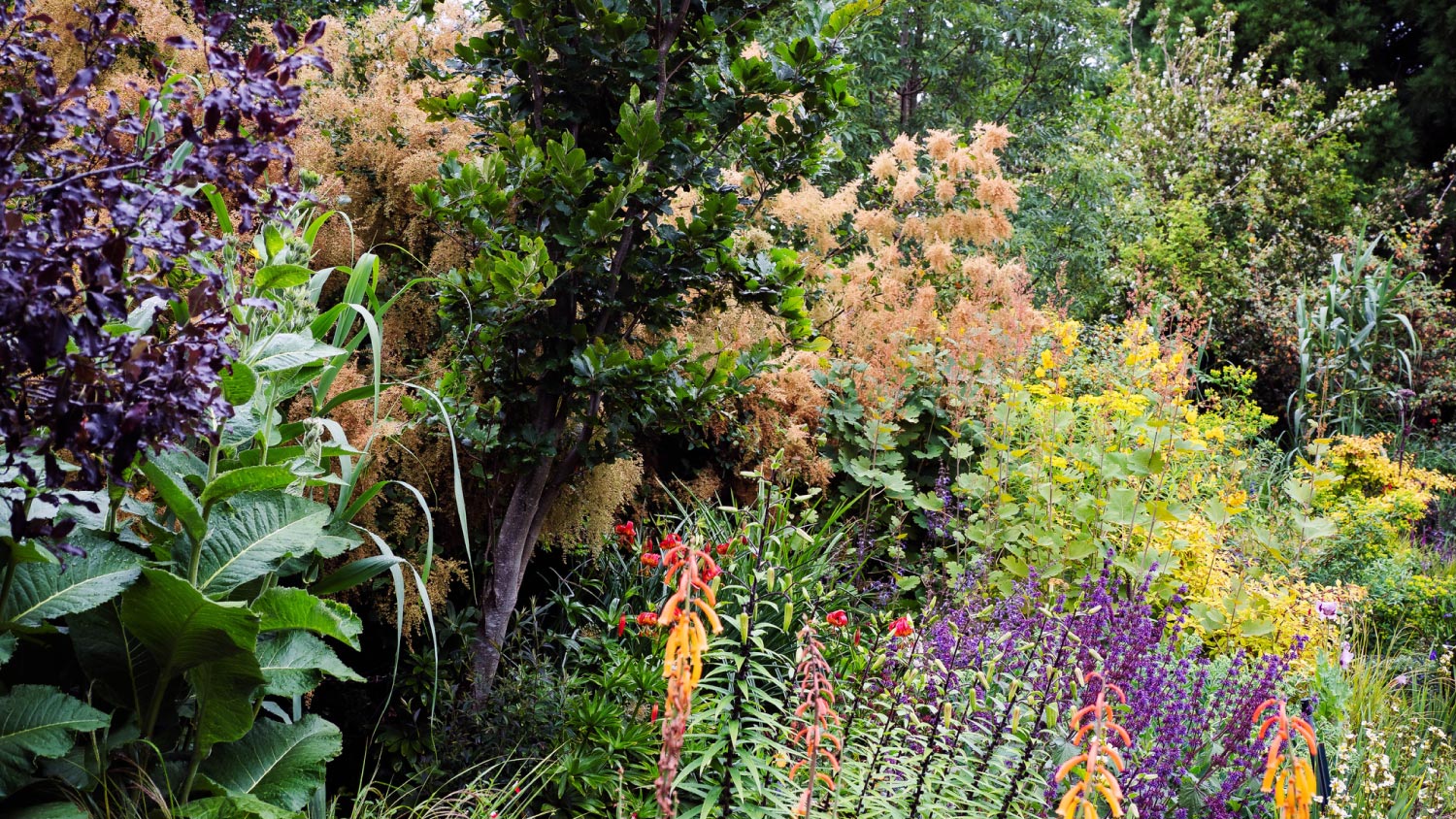 Flowers in a house garden