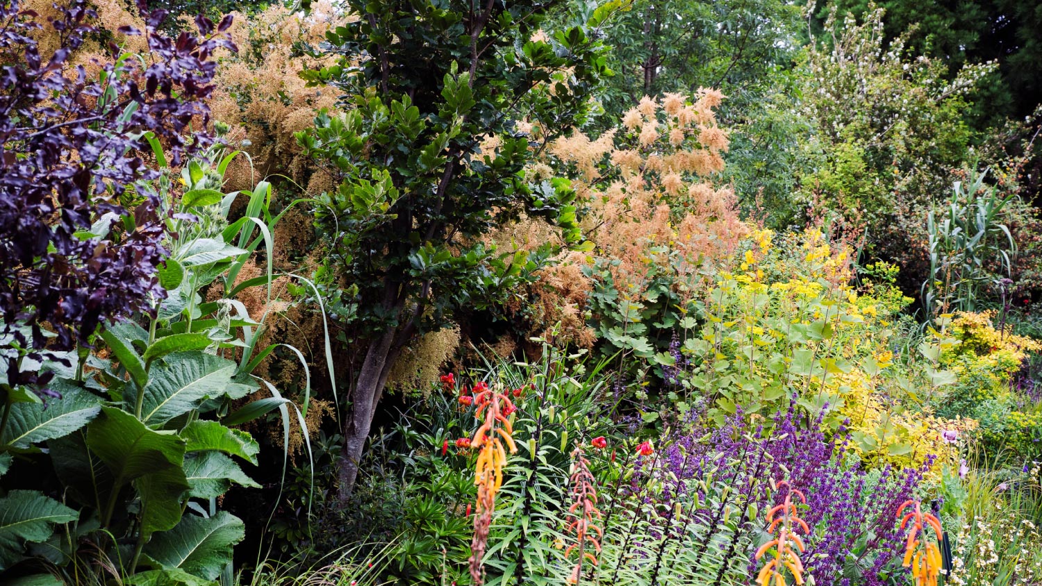  Flowers in a house garden