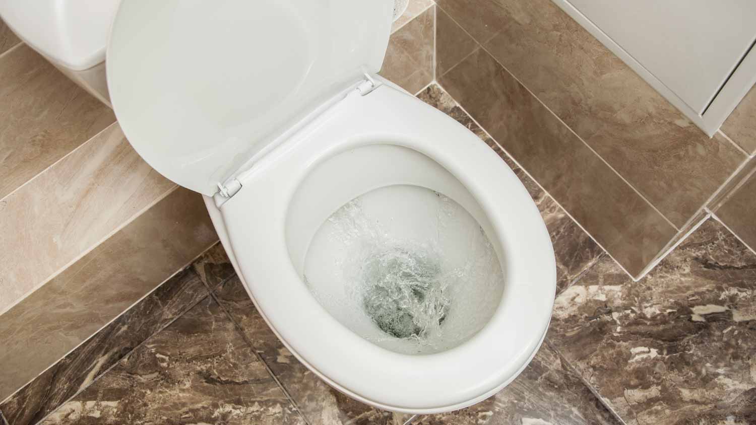 Flushing toilet bowl