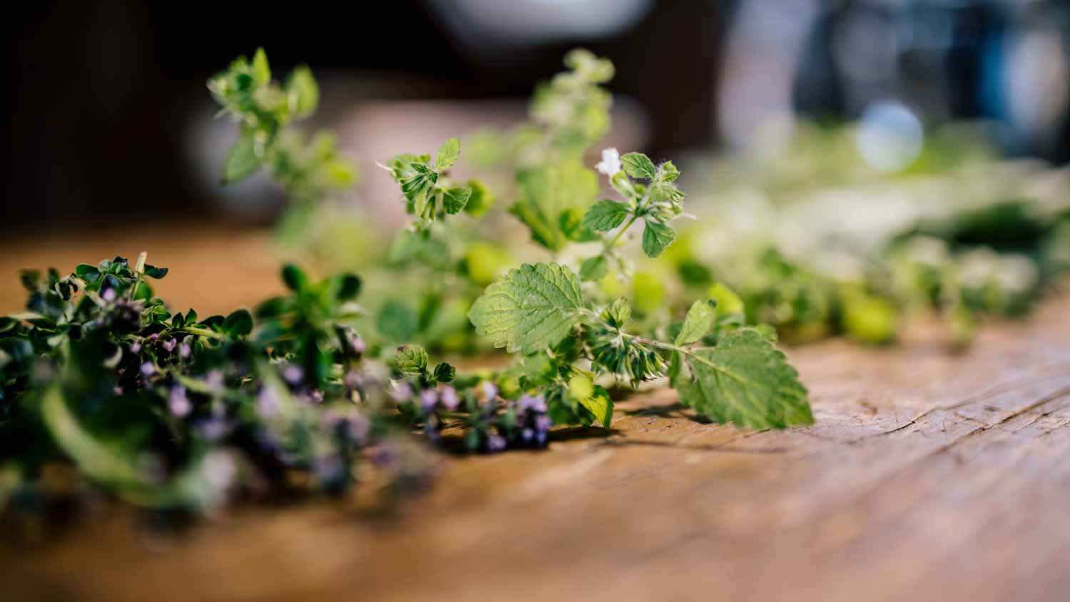 Fresh herbs on wooden table