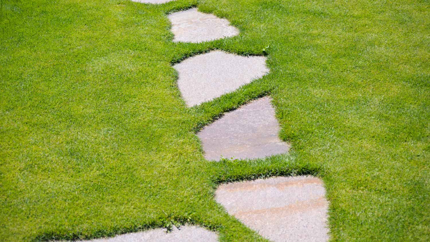 Garden Stepping Stone Path