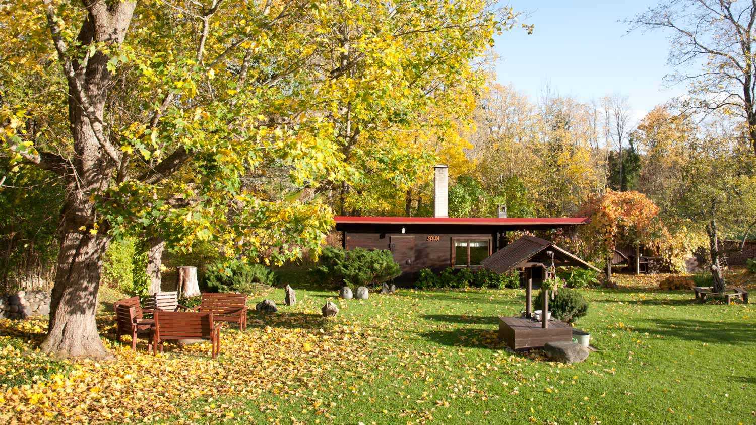 Garden with autumn leaves